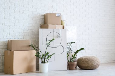 Posterli karton kutular ve beyaz tuğla duvarın yanındaki bitkiler.