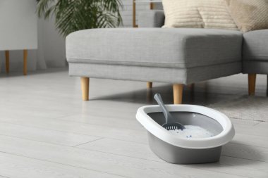 Kedi için oturma odasındaki çöp kutusu.