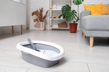 Oturma odasındaki kedi için plastik çöp kutusu.