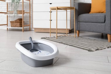 Kedi için oturma odasındaki çöp kutusu.