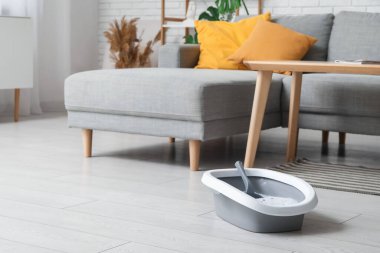 Oturma odasındaki kedi için plastik çöp kutusu.