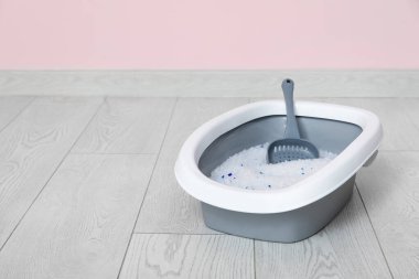 Odadaki kedi için gri çöp kutusu.