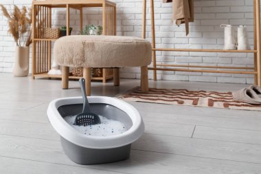 Odadaki kedi için kepçe ve gri çöp kutusu