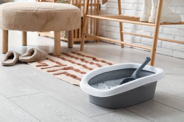 Odadaki kedi için kepçe ve gri çöp kutusu