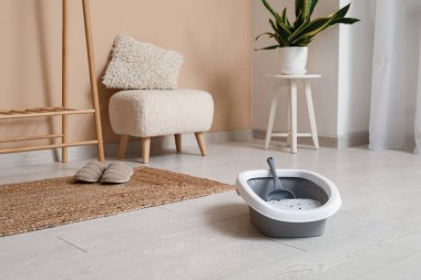 Odadaki kedi için kepçe ve çöp kutusu