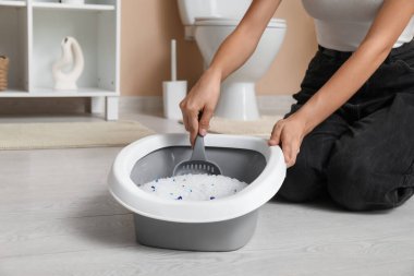 Tuvaletteki kedi için kepçe kumu temizleyen kadın.