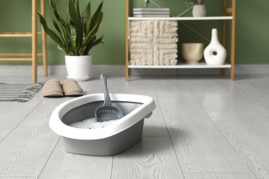 Odadaki kedi için kepçe ve çöp kutusu