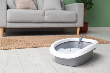 Oturma odasındaki kedi için gri çöp kutusu