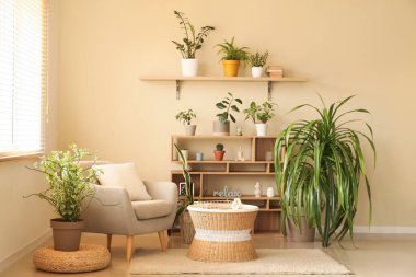 Oturma odası, koltuk, raf ünitesi ve yeşil bitkiler.
