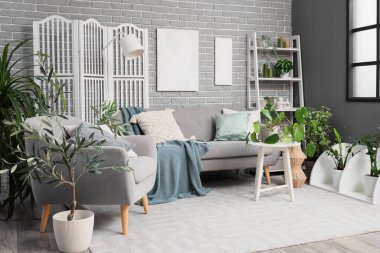 Oturma odasının içinde gri kanepe, koltuk ve yeşil bitkiler var.