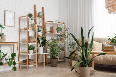 Oturma odasının içinde bej kanepe, kitaplık ve yeşil bitkiler var.