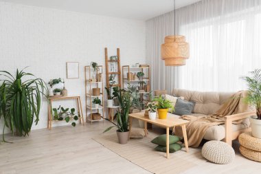 Oturma odasının içinde bej kanepe, kitaplık ve yeşil bitkiler var.