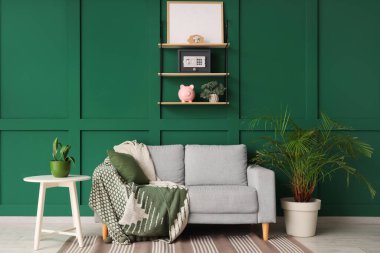 Oturma odasının içinde kanepe, ev bitkileri ve yeşil duvarın yanındaki rafta bir kasa var.