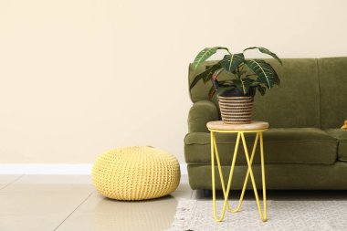 Oturma odasının iç tarafında rahat bir kanepe, puf ve çiçek var.