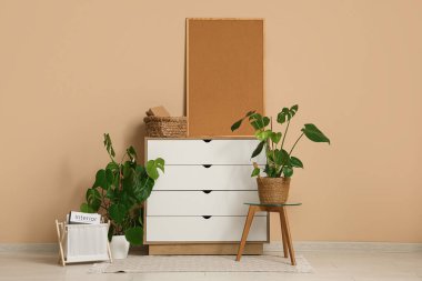 Çekmeceler, ev bitkileri ve bej duvarın yanındaki çerçeve.