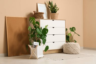 Çekmeceler, ev bitkileri ve bej duvarın yanındaki çerçeve.