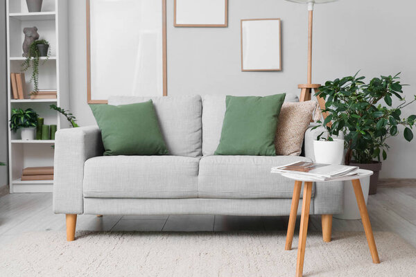 Interior of living room with sofa, coffee table and houseplants