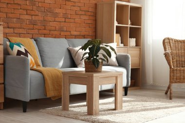 Oturma odasının içinde kanepe ve bitki var.