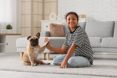 Fransız bulldoglu tatlı Afro-Amerikalı kız oturma odasında halıda oturuyor.