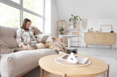 Şirin İngiliz Shorthair kedisi olan genç bir kadın evdeki koltukta dizüstü bilgisayar kullanıyor.