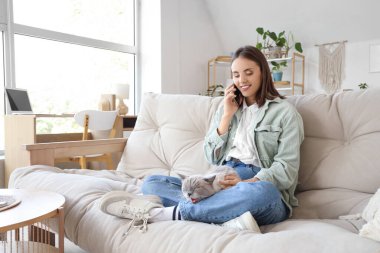 Şirin İngiliz Shorthair kedisi olan genç bir kadın evdeki koltukta cep telefonuyla konuşuyor.