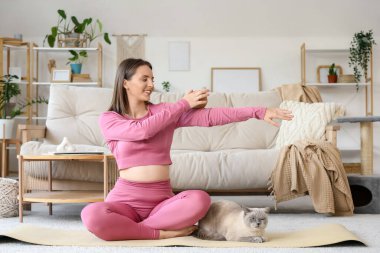 Masaj topu ve sevimli İngiliz Shorthair kedisi olan genç bir bayan.