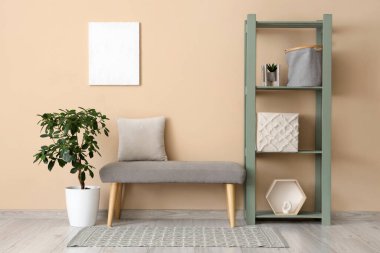 Oturma odasının içinde yumuşak bank, raf ünitesi ve bitki