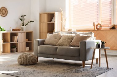 Gri kanepesi, kitaplığı ve kitapları olan şık bir oturma odası.