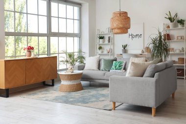 Gri koltukları, raf üniteleri ve bitkileri olan oturma odasının içinde.