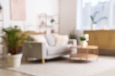 Gri kanepe, çekmeceler ve bitkilerle aydınlık oturma odasının bulanık görüntüsü