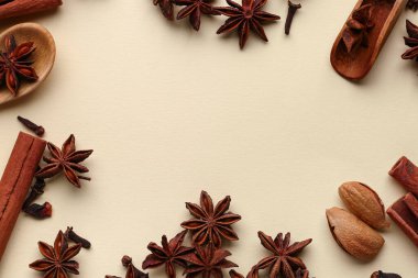 Renk arkaplanındaki aromatik baharatlardan yapılmış çerçeve