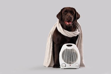 Sıcak atkısı ve gri arka planda elektrikli fan ısıtıcısı olan şirin Labrador köpeği.