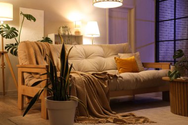 Geceleri kanepeli oturma odasının şık bir iç mekanı.