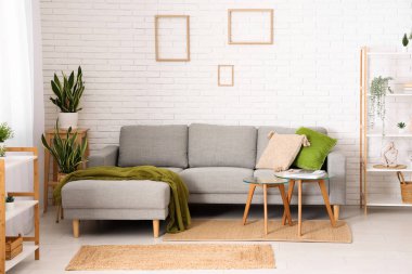 Rahat kanepesi, saksısı, sehpası ve raf ünitesi olan modern oturma odasının içinde.