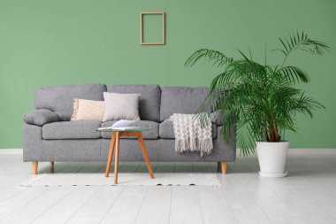 Şık gri kanepe, sehpa ve yeşil duvarın yanındaki bitki.