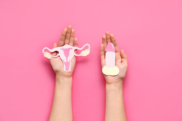 Female hands with paper uterus and male genitals on pink background, closeup