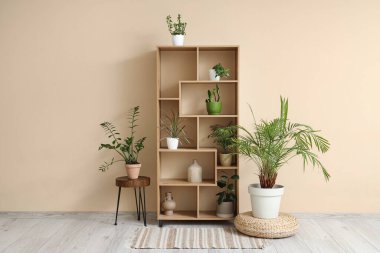 Tabure, puf, ahşap raf ve oturma odasındaki bej duvarın yanında farklı bitkiler.