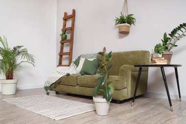 Oturma odasındaki kanepe, merdiven, masa ve beyaz duvarın yanındaki farklı bitkiler.