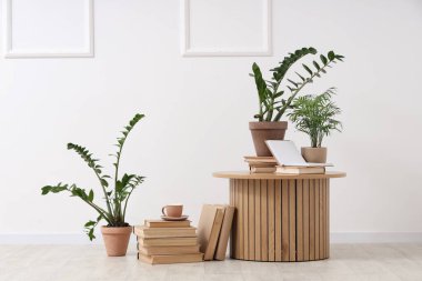 Yuvarlak masa, kitaplar, fincanlar ve oturma odasındaki beyaz duvarın yanındaki farklı bitkiler.