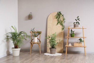 Oturma odasının içinde ahşap askı, sandalye ve beyaz duvarın yanında farklı bitkiler var.