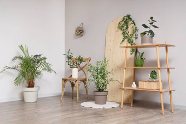 Oturma odasının içinde ahşap askı, sandalye ve beyaz duvarın yanında farklı bitkiler var.