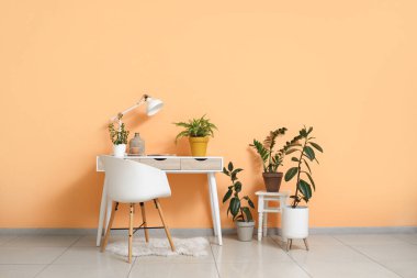 Lamba, vazo, kahve fincanı ve oturma odasındaki turuncu duvarın yanındaki masada farklı bitkiler.