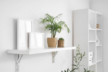 Odadaki ışık duvarında bitkiler ve çerçeveler olan raflar.