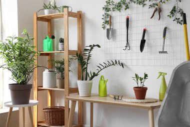 Işık duvarının yanındaki bahçe aletleri ve bitkiler.