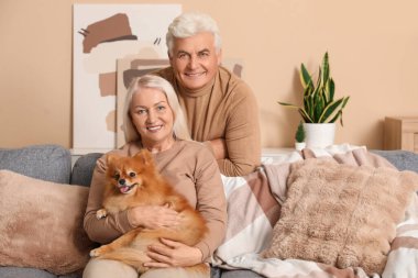 Evde sevimli Pomeranya köpeği olan mutlu son sınıf çifti