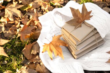 Sonbahar yapraklı kitap yığınları parkta kalın süveter giyiyor.
