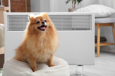 Evde elektrikli konteyner ısıtıcısının yanında pouf üzerinde şirin Pomeranya köpeği.