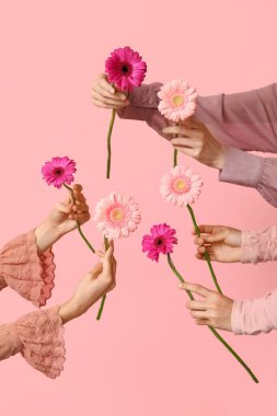 Pembe arka planda güzel Gerbera çiçeklerini tutan kadın elleri