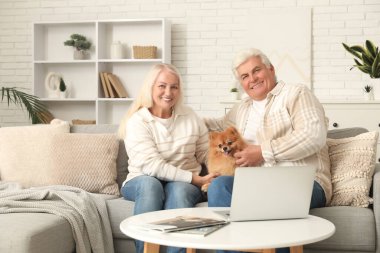 Evdeki koltukta oturan sevimli Pomeranya köpekli mutlu son sınıf çifti.