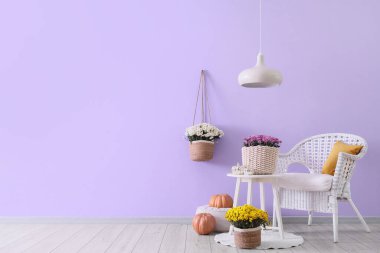 Koltuk, sehpa ve kasımpatı çiçekleri odada leylak duvarın yanında.